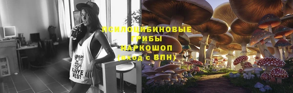 стафф Беломорск