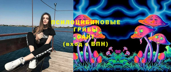 стафф Беломорск