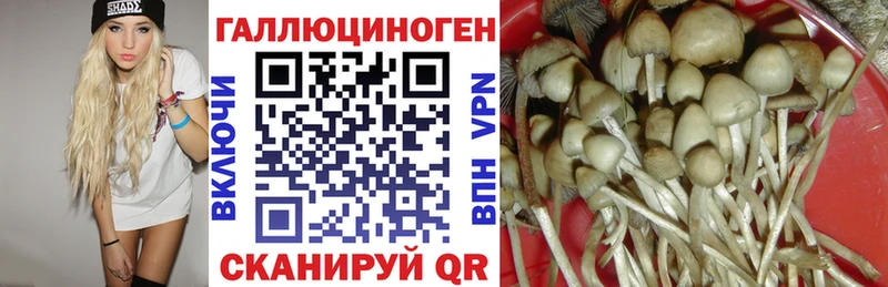 Псилоцибиновые грибы мухоморы  Купить  Владикавказ 